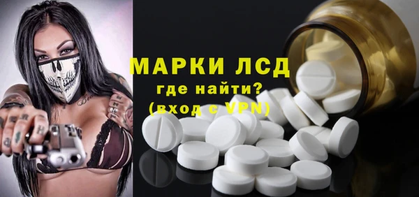шишки Беломорск
