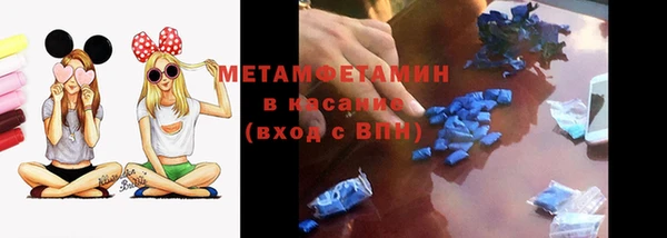 шишки Беломорск