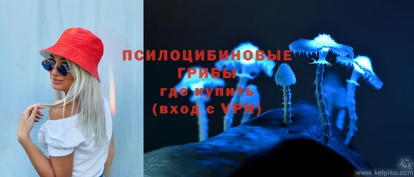 ALPHA PVP Белокуриха