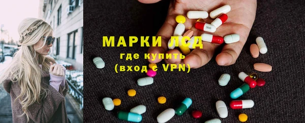 шишки Беломорск