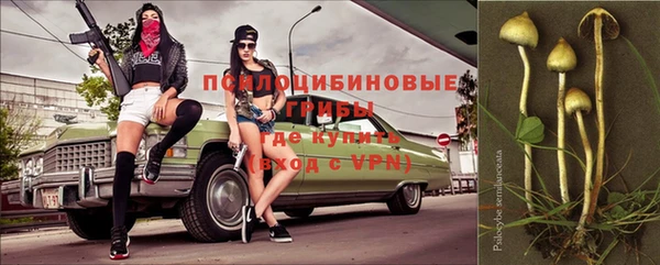 шишки Беломорск