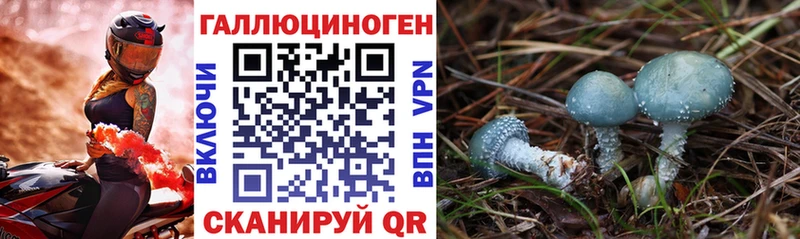 Галлюциногенные грибы Cubensis  Кыштым 